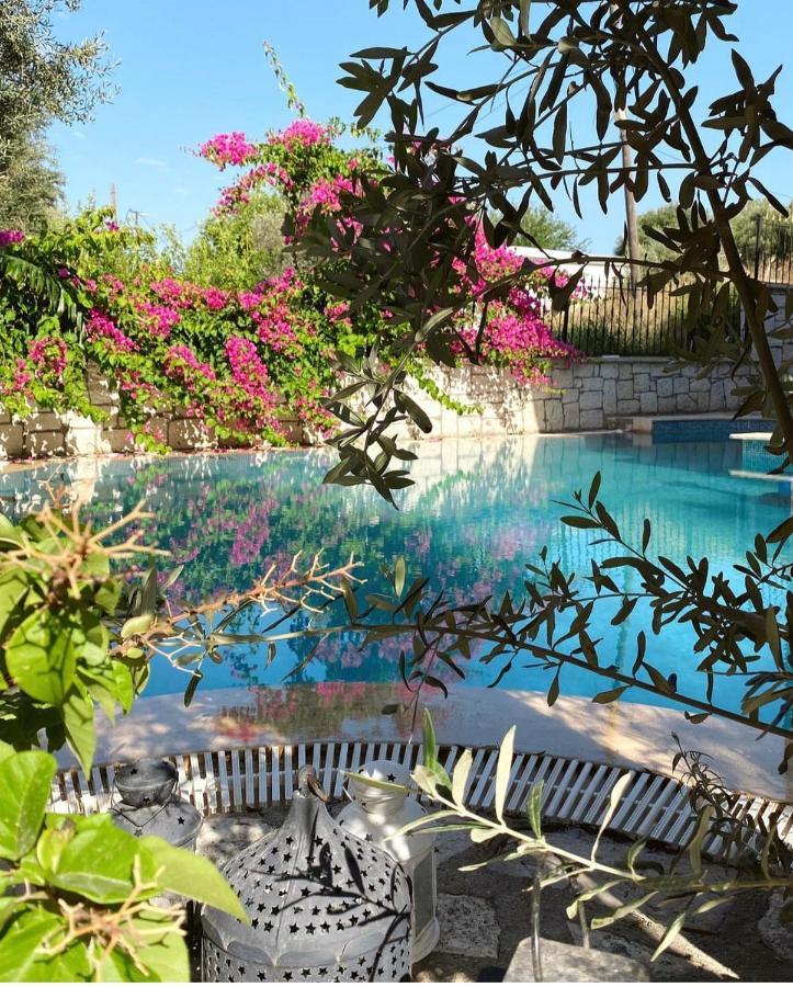 Ata Boutique Hotel Çeşme Luaran gambar